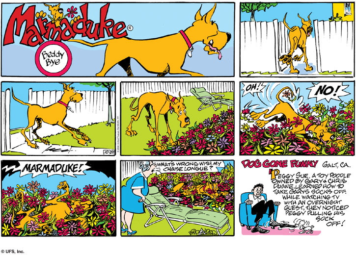 marmaduke